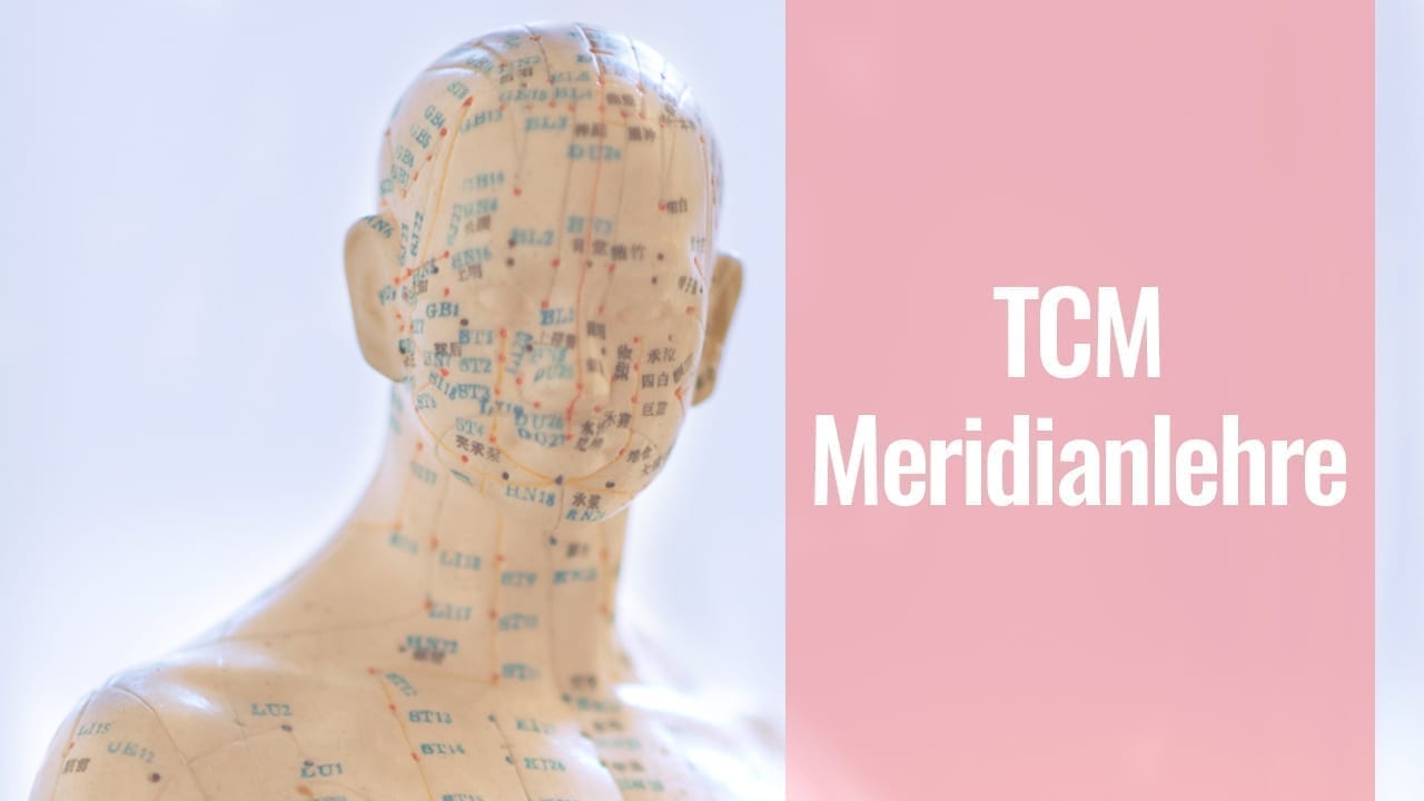TCM Meridianlehre